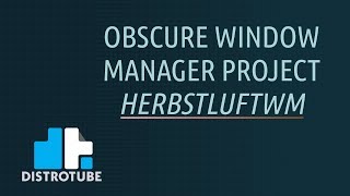 Obscure Window Manager Project  Herbstluftwm [upl. by Otiragram]