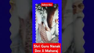 guru nanak dev ji sakhi nanak babananak guru sikhguru sikhisim sikhhistory amritsar love [upl. by Astraea]