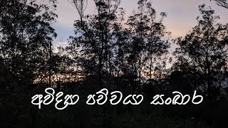 අවිද්‍යා පච්චයා සංඛාර [upl. by Ira370]