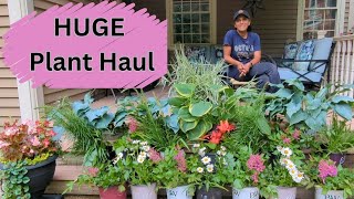 Perennial Plant Haul  FREE  Astilbe Hosta Daisies Liatris [upl. by Akeret]