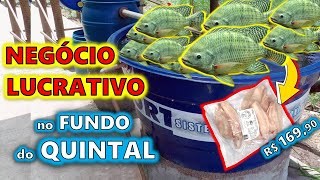 CRIANDO 1 MILHÃO DE PEIXES NESSE PEQUENO ESPAÇO [upl. by Kela]