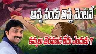 అవ్వ పండు తిన్న వెంటనే కన్నులు తెరవబడ లేదు ఎందుకు  Prasanna Babu gari wonderful speech BOUI [upl. by Llerrehc409]