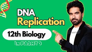 DNA Replication  Step By Step Guide to Genetic Duplication [upl. by Navonod]