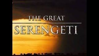 The Great Serengeti  Wild Animal Documentary  National Geographic [upl. by Elleoj]