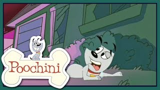 Poochini  Episode 17  The Baldness [upl. by Lrac]