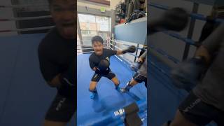 Goofballs fun striking silly boys sparring muaythai tkd momentum [upl. by Rue]