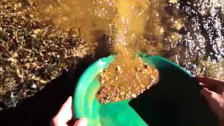 Gold Panning Like a Pro with Dan Hurd [upl. by Ynaoj95]