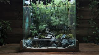 how to make a bamboo forest  Paludarium  Aquaterrarium [upl. by Yemaj]