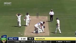 Sean Abbott Bouncer Strucks Will Pucovski in Sheffield Shield [upl. by Anwahsal]