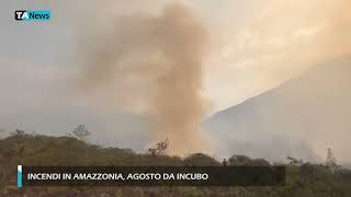 Incendi in Amazzonia agosto da incubo [upl. by Allemap959]