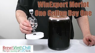 WinExpert Merlot One Gallon Day One [upl. by Map]