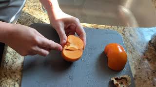 Prepping Fuyu Persimmon Pulp [upl. by Uball260]