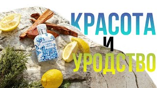 DolceampGabbana Light blue summer vibes  красивая обёртка да и только [upl. by Romelda]