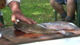 How to Fillet a Redfish [upl. by Evangelist]