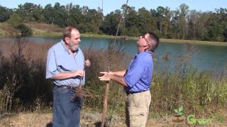 Planting Bare Root Trees  Pecan and Maple [upl. by Mosra85]