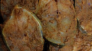 Suvaiyana Vanjaram Meen Varuval Masala Recipeசுவையான வஞ்சிரம் மீன் வறுவல் ரெசிபிBAIRAVISCHANNEL [upl. by Leandre826]