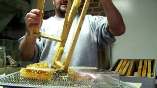 COMB HONEY Cutting Basics VideoChunk Honey Honeycomb BeekeepingBeekeeper John Pluta Georgia Bees [upl. by Ardien705]