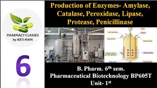 Production of enzymes Amylase Catalase Peroxidase Lipase Protease Penicillinase  Ph Biotech [upl. by Anaj]