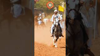 Neza Bazi In Pakistan 2024 nezabazi horseriding youtubeshorts shortvideo horselover gujarkhan [upl. by Nared]