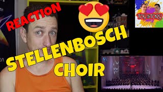 Stellenbosch University Choir  African Medley  Reaction [upl. by Nifares798]