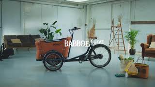 De Babboe Curve ebakfiets [upl. by Ez642]