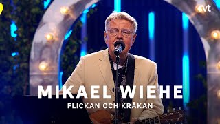 Mikael Wiehe – Flickan och kråkan  Allsång på Skansen 2022  SVT [upl. by Jahdol]