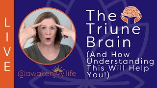 The Triune Brain [upl. by Ecenahs]