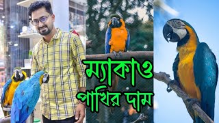 ম্যাকাও পাখির দাম। Macaw bird price। ম্যাকাও পাখি পালন। Macaw pakhir dam। ম্যাকাও পাখি RoufAgro [upl. by Eiznekcm]