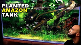 Aquascape Tutorial EPIC 4ft Amazon Aquarium  Planted Tank how to guide  NO co2  diy lighting [upl. by Corty795]