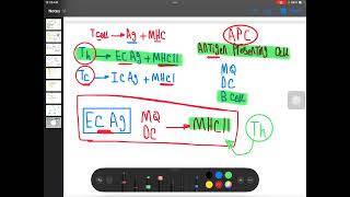 cell mediated Immunity part 1 [upl. by Dearden]