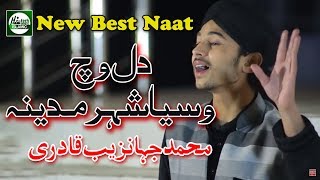 DIL VICH VASEYA SHEHER MADINA  MUHAMMAD JAHANZAIB QADRI  OFFICIAL HD VIDEO  HITECH ISLAMIC [upl. by Leribag]