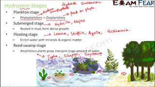 Biology Ecology Hydrosere Stages Class 09 [upl. by Akienom352]