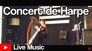 Harpe en Live HD  Concert de harpe celtique  Eihwaz [upl. by Dedie]