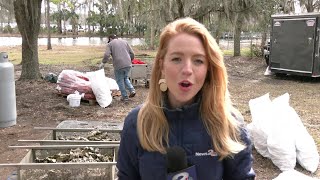 Lowcountry Oyster Festival celebrates its 40th year [upl. by Nagaer]