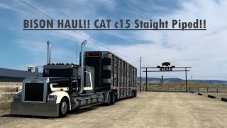 BISON HAUL CAT c15 Straight Piped [upl. by Ferrel]