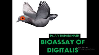 Bioassay of Digitalis [upl. by Aihtak71]