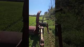 Flail Mowing For Cattle 🍀🐂🐃🐄 [upl. by Emmit]