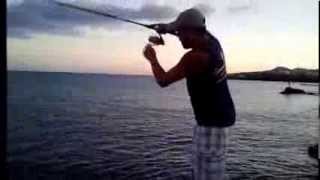 Fishing in Fuerteventura  Barracuda Spinning from Rocks [upl. by Mojgan]