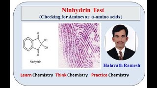 Ninhydrin Test [upl. by Ettenay]