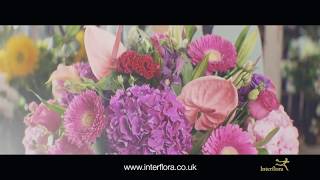 Interflora  The Flower Experts [upl. by Esbenshade]