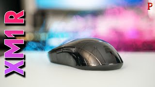 Endgame Gear XM1r Gaming Mouse Review [upl. by Anaer]