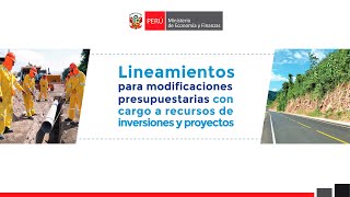 Lineamientos para modificaciones presupuestarias con cargo a recursos de inversiones y proyectos [upl. by Kirch]