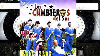 Los Cumbieros Del Sur Rancheros Vol15 Album Completo [upl. by Clover]