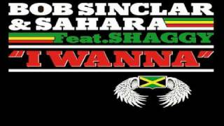 I Wanna Radio Edit by Bob Sinclar and Sahara feat Shaggy ♪♫ 2010 ♫♪ [upl. by Kerwin]