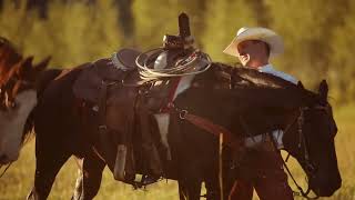 quotNo Good Cowboy Caden Wilson Visualizer Video [upl. by Curson]