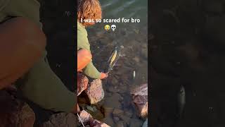 Have you ever lipped a pike 💀 pikefishing bassfishing fishing nature trending viralvideo [upl. by Nagek728]