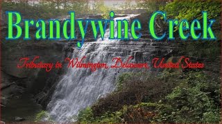 Visiting Brandywine Creek Tributary in Wilmington Delaware United States [upl. by Avahc871]