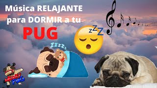 🎶🐶 MÚSICA RELAJANTE para DORMIR a TU PUG  MUSICA para DORMIR  MUSICA para CALMAR a mi PERRO 😴🐶 [upl. by Solorac]