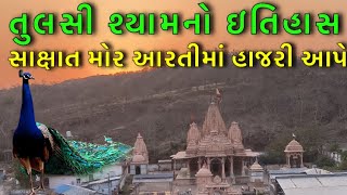 સાક્ષાત મોર આરતીમાં હાજરી આપે  Tulsi Shyam  Tulsi Shyam temple  Milan Danidhariya [upl. by Ruddie]