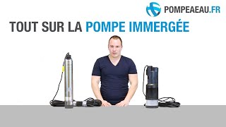 Pompe immergée  Conseils pour faire le bon choix [upl. by Hermione181]